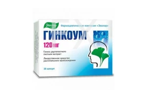ГИНКОУМ капс. 120мг n30