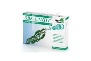 ЭВКАЛИПТ пастилки n12
