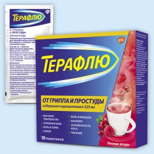 ТЕРАФЛЮ пор. (саше) n10 Лесные ягоды