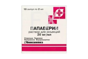 ПАПАВЕРИНА ГИДРОХЛОРИД р-р д/ин (амп.) 2% - 2мл n10