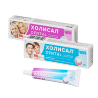 ХОЛИСАЛ Дентал гель (туба) 15г