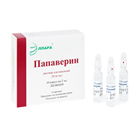 ПАПАВЕРИНА ГИДРОХЛОРИД р-р д/ин (амп.) 2% - 2мл n10