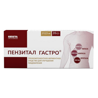 ПЕНЗИТАЛ ГАСТРО