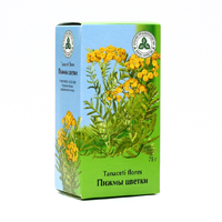 ПИЖМЫ ЦВЕТКИ