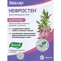 НЕФРОСТЕН